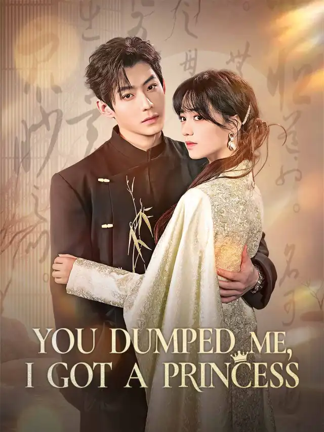 You Dumped Me, I Got a Princess cover