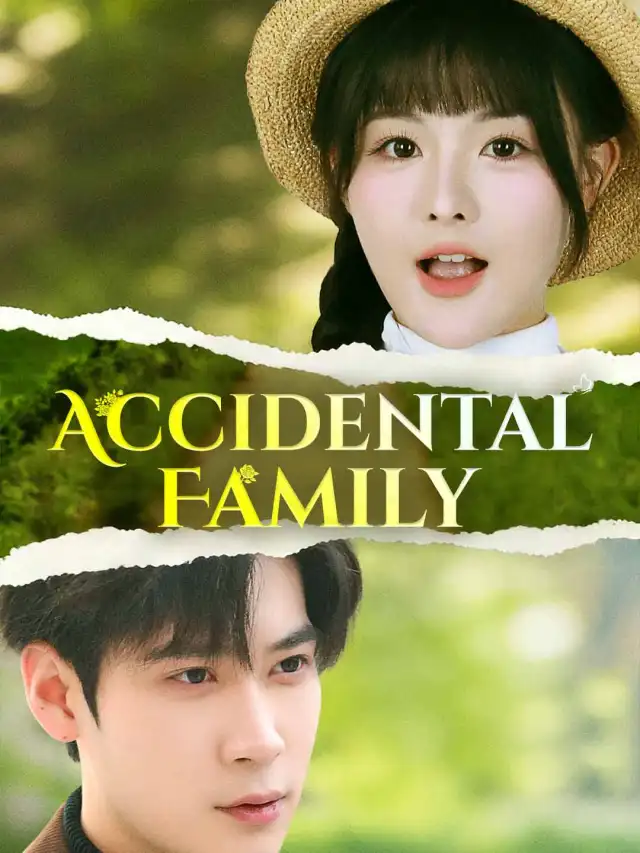 Accidental Family poster