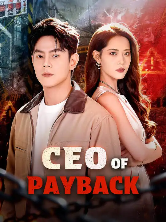CEO of Payback poster