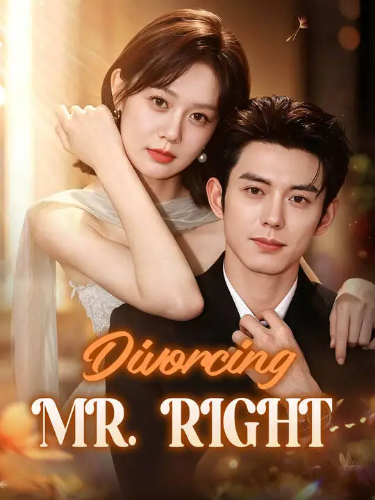 Divorcing Mr. Right poster