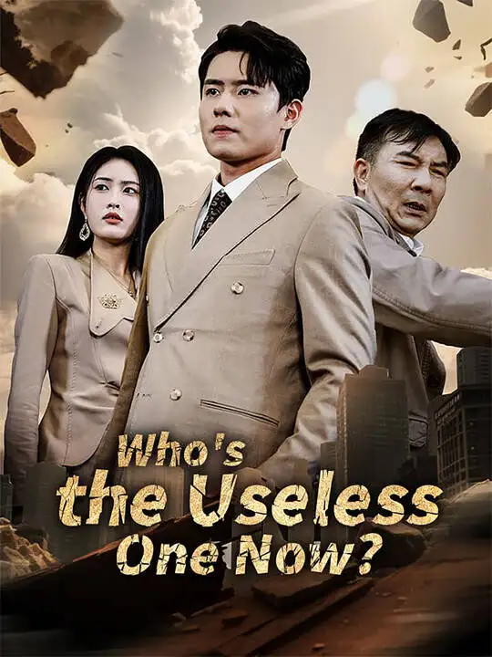 Who' s the Useless One Now? poster
