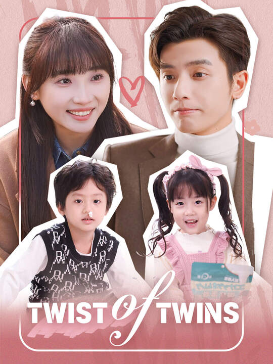 Twist of Twins poster