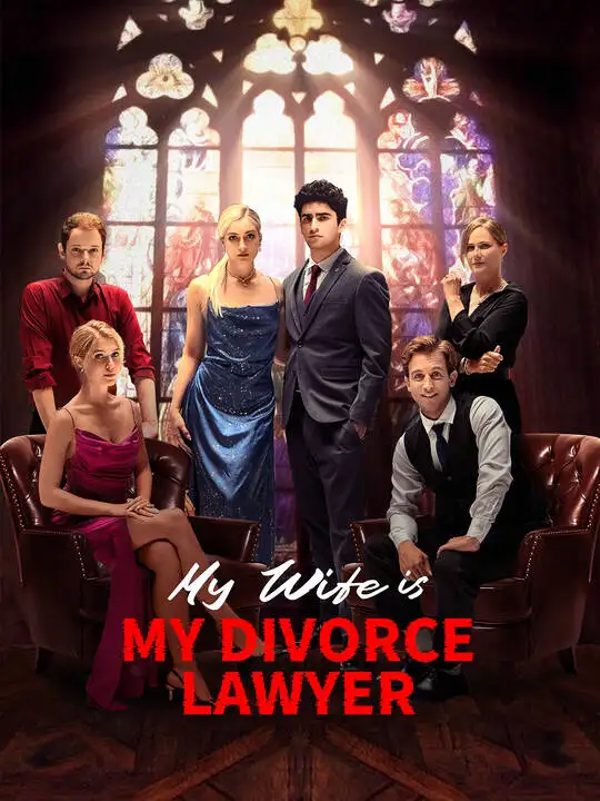My Wife is My Divorce Lawyer poster