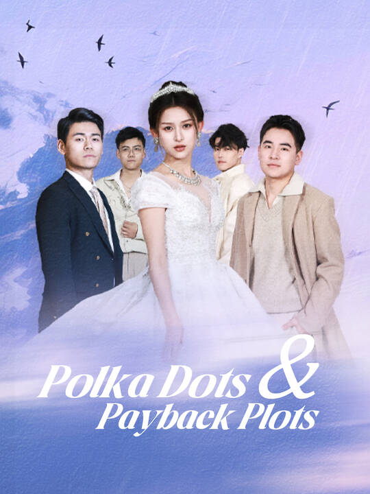 Polka Dots & Payback Plots poster