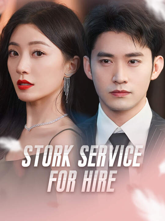 Stork Service for Hire poster