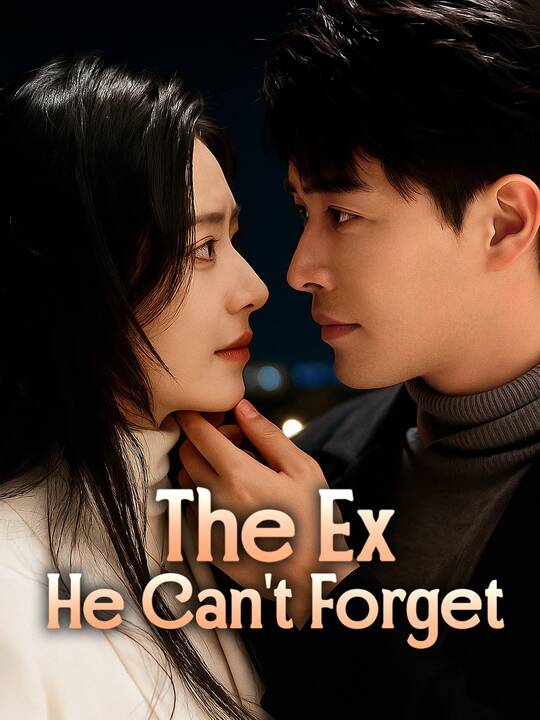 The Ex He Can't Forget poster