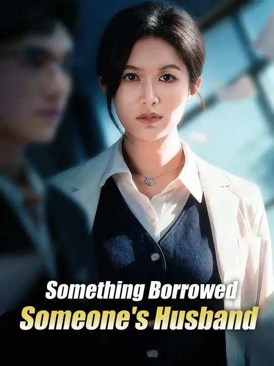 Something Borrowed, Someone's Husband poster