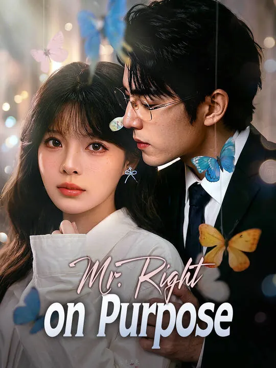Mr. Right on Purpose poster