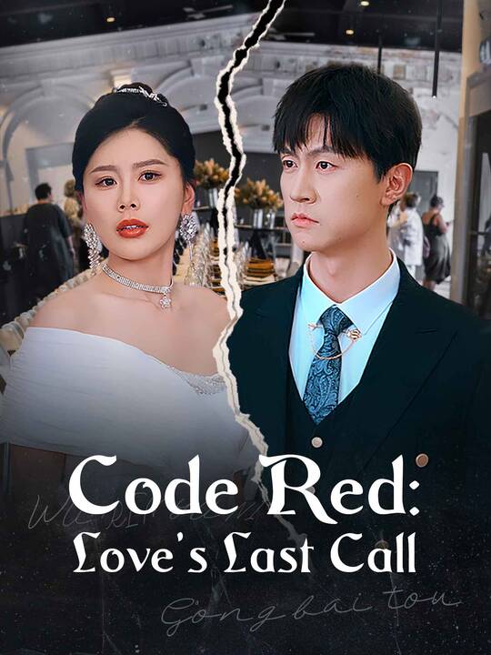 Code Red: Love's Last Call poster