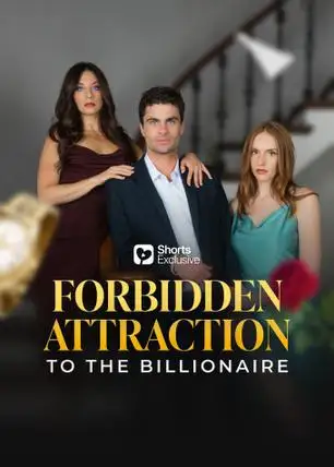 Forbidden Attraction to the Billionaire poster