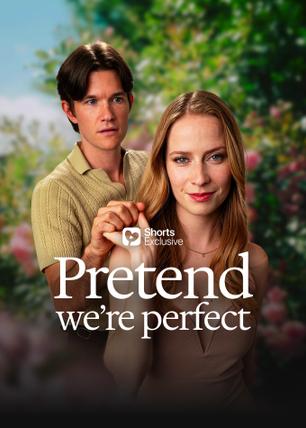 Pretend We're Perfect poster