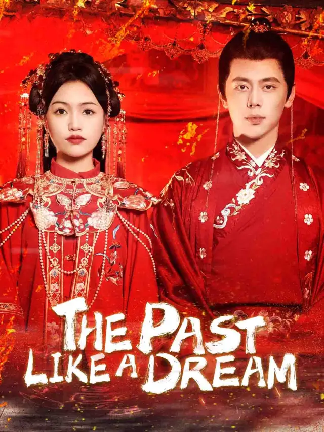 The Past Like a Dream poster