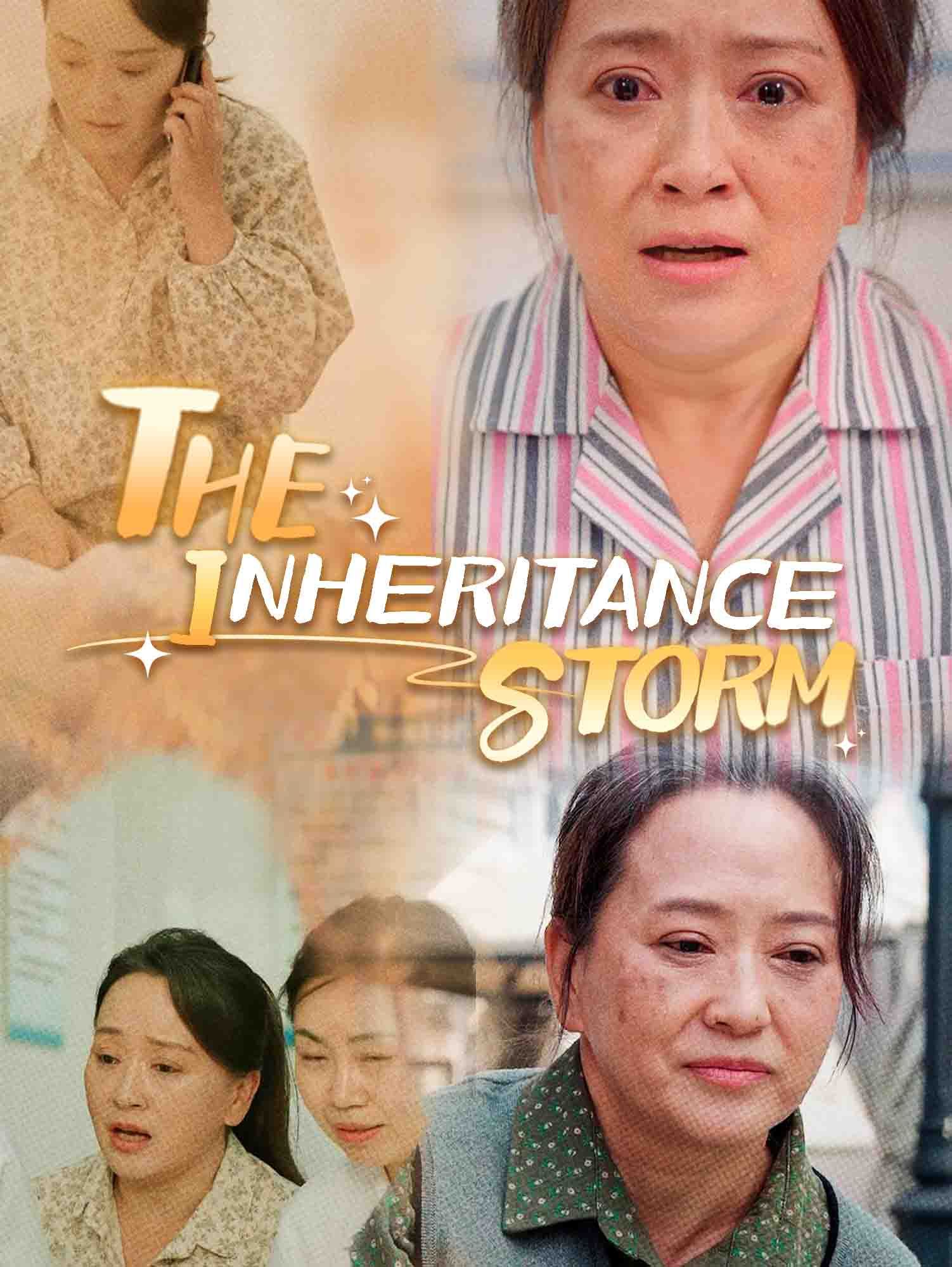 The Inheritance Storm poster