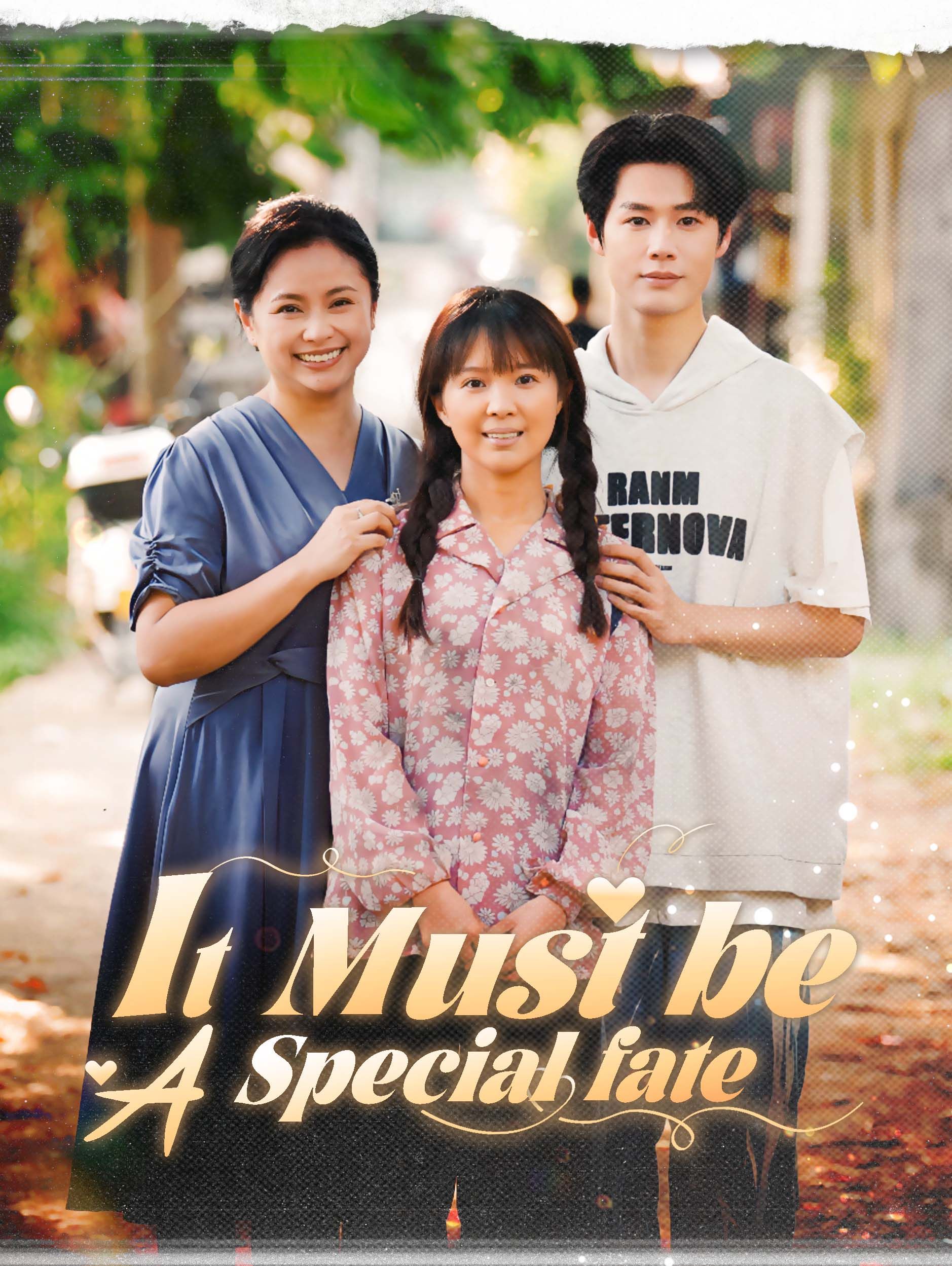 It Must be a Special Fate poster