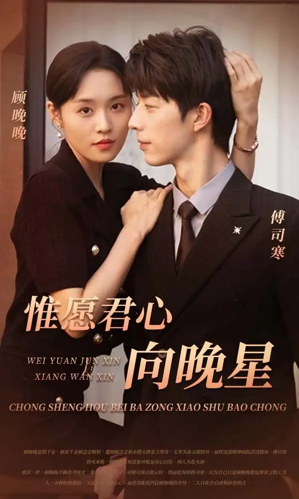 惟愿君心向晚星 poster
