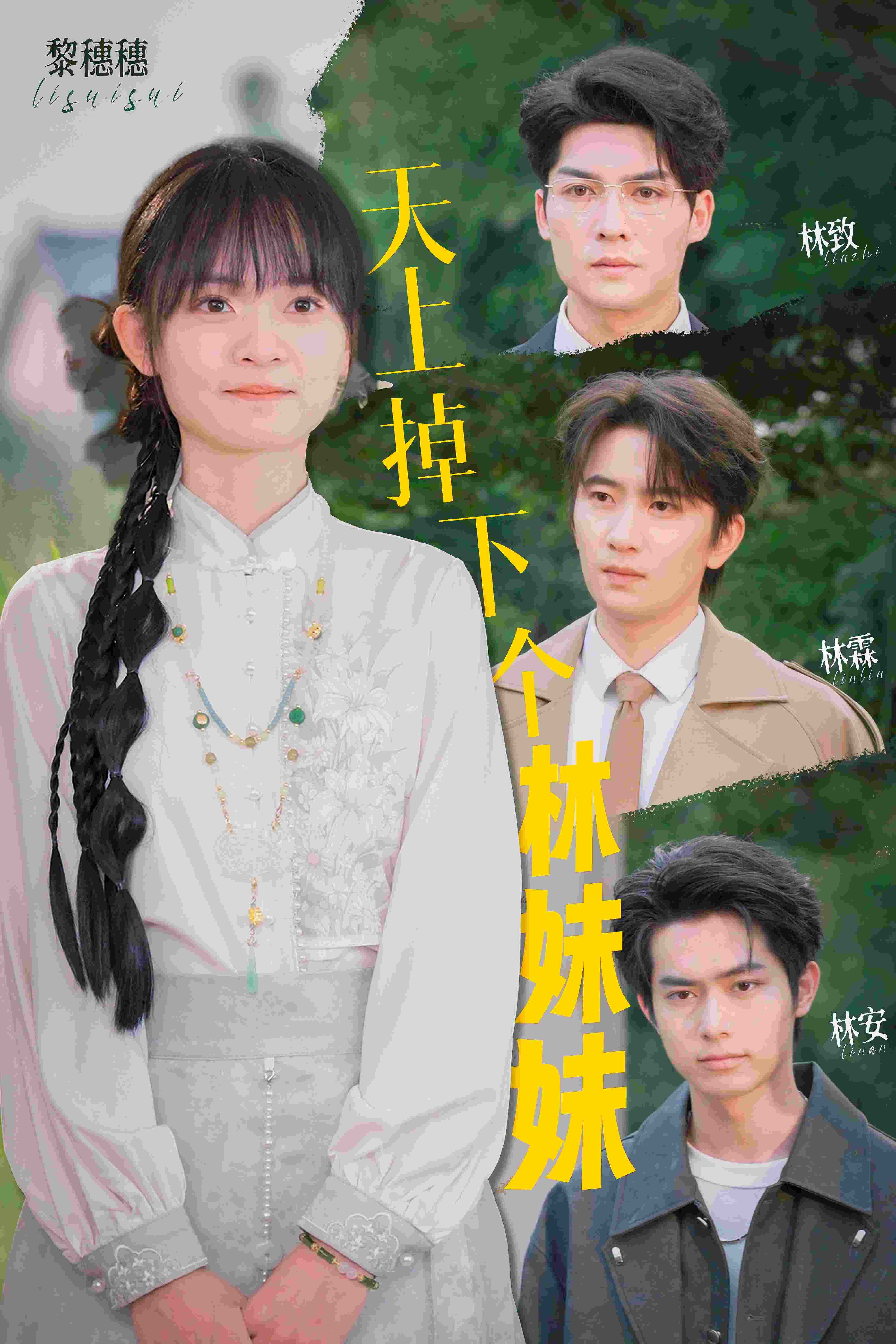 天上掉下个林妹妹 poster