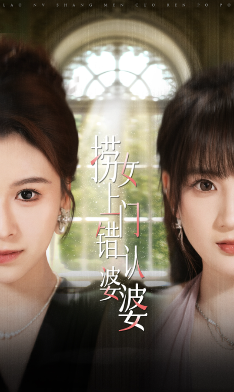 Playing Mother poster