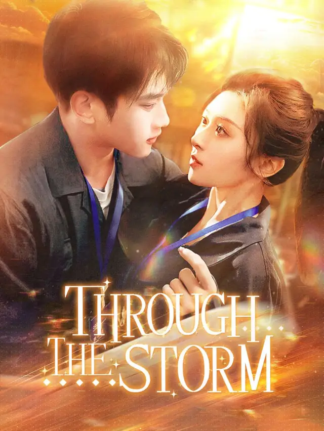 Through the Storm cover