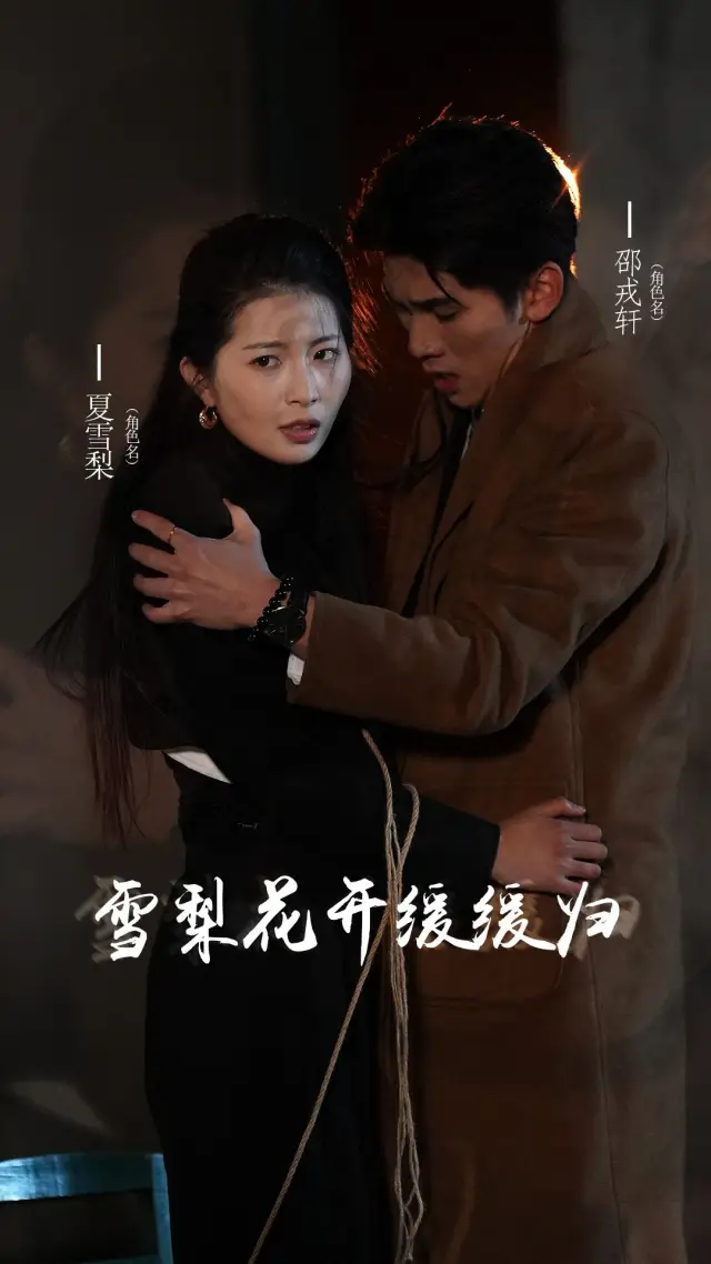 The Heiress' Revenge cover