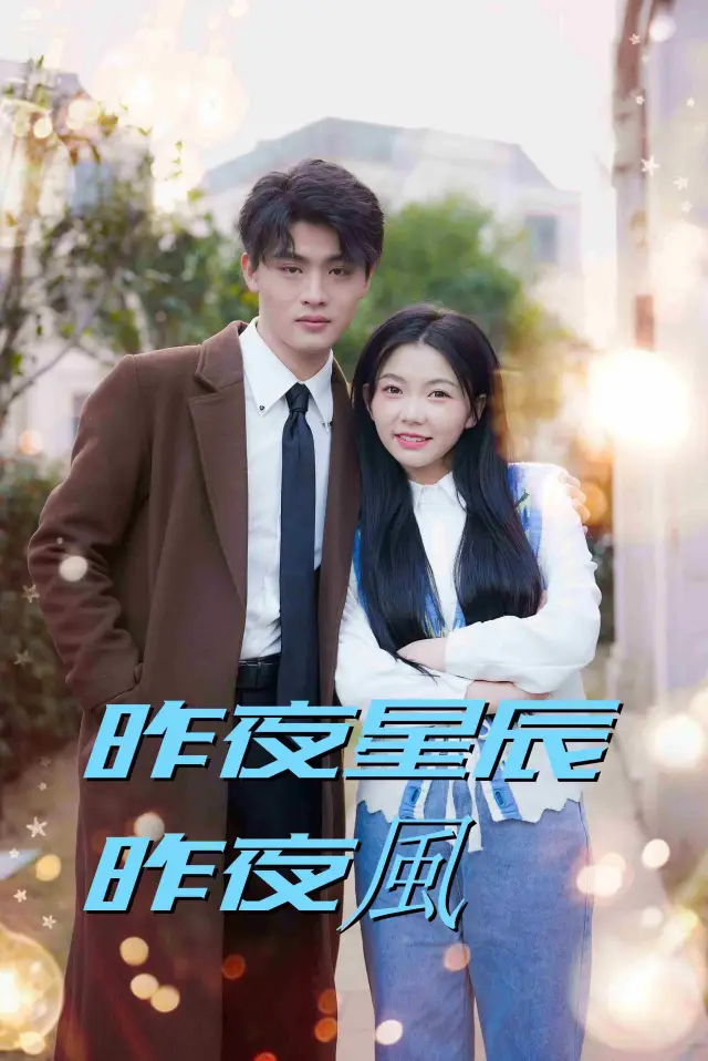 昨夜星辰昨夜風 poster
