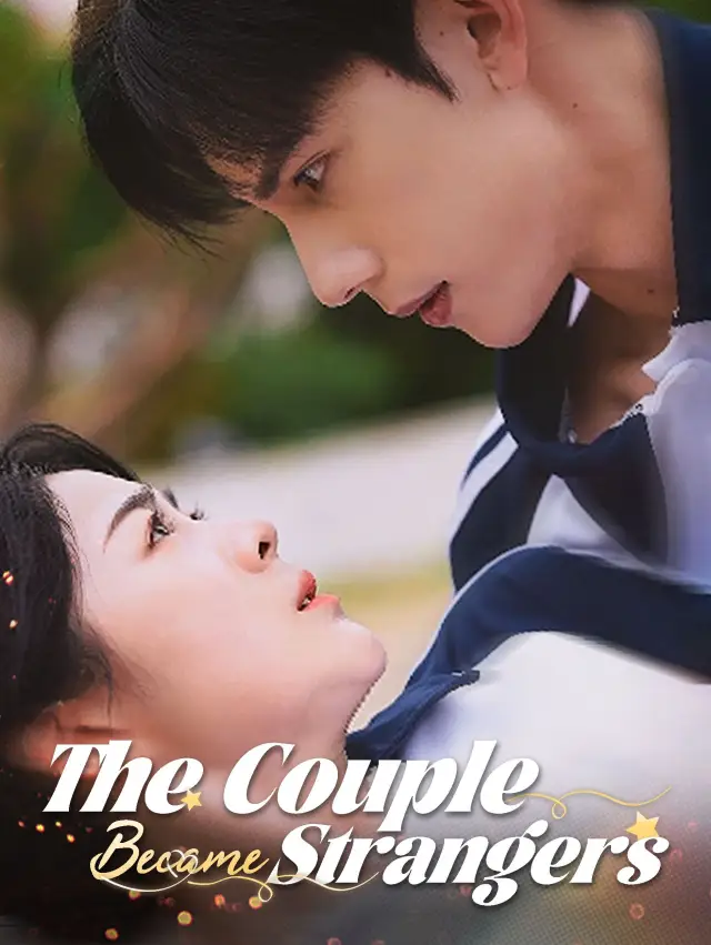The Couple Eventually Became Strangers poster