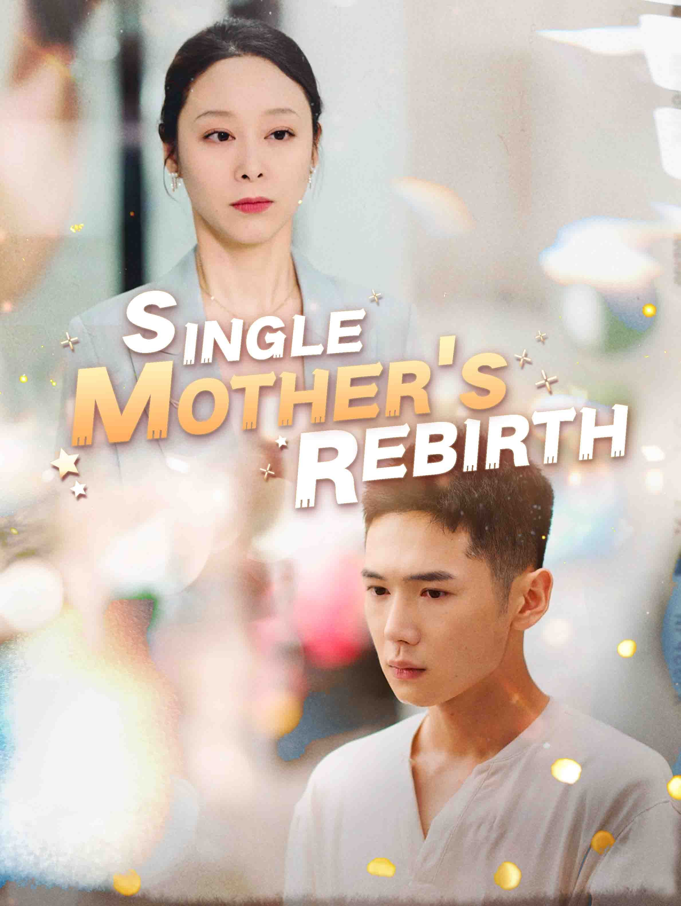 The Rebirth of a Single Mother cover