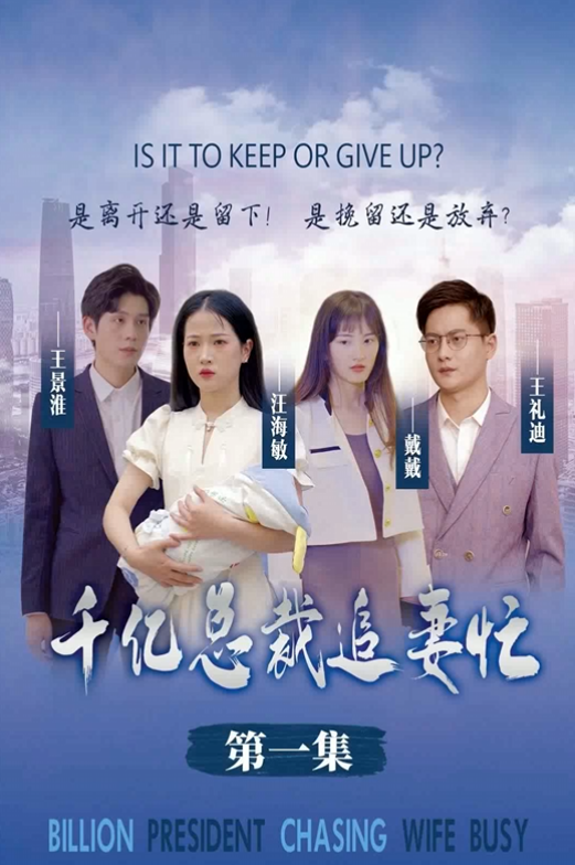 The Wife's Justice poster
