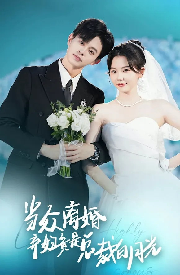 Secret Wife with a Scar poster