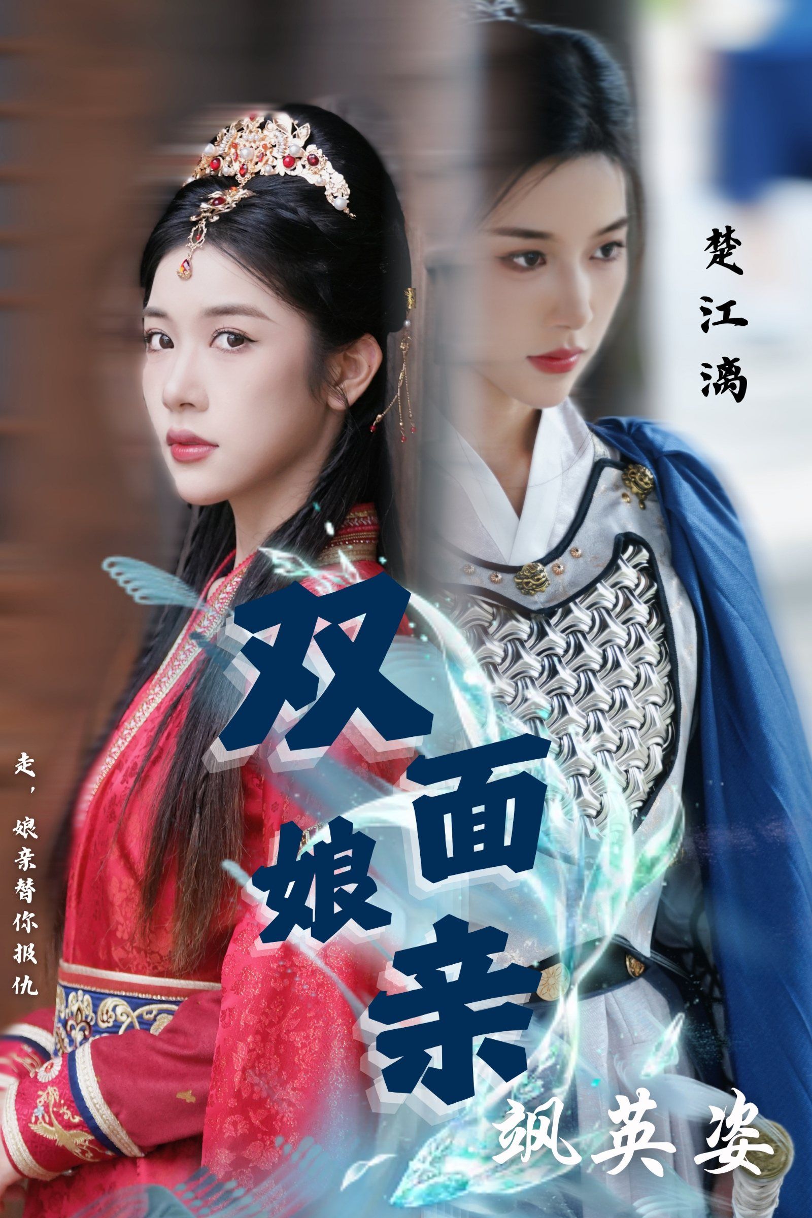 双面娘亲飒英姿 poster
