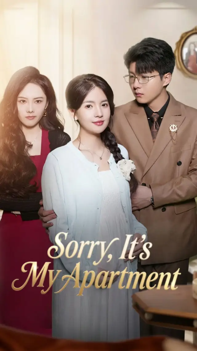 Sorry, It's My Apartment poster