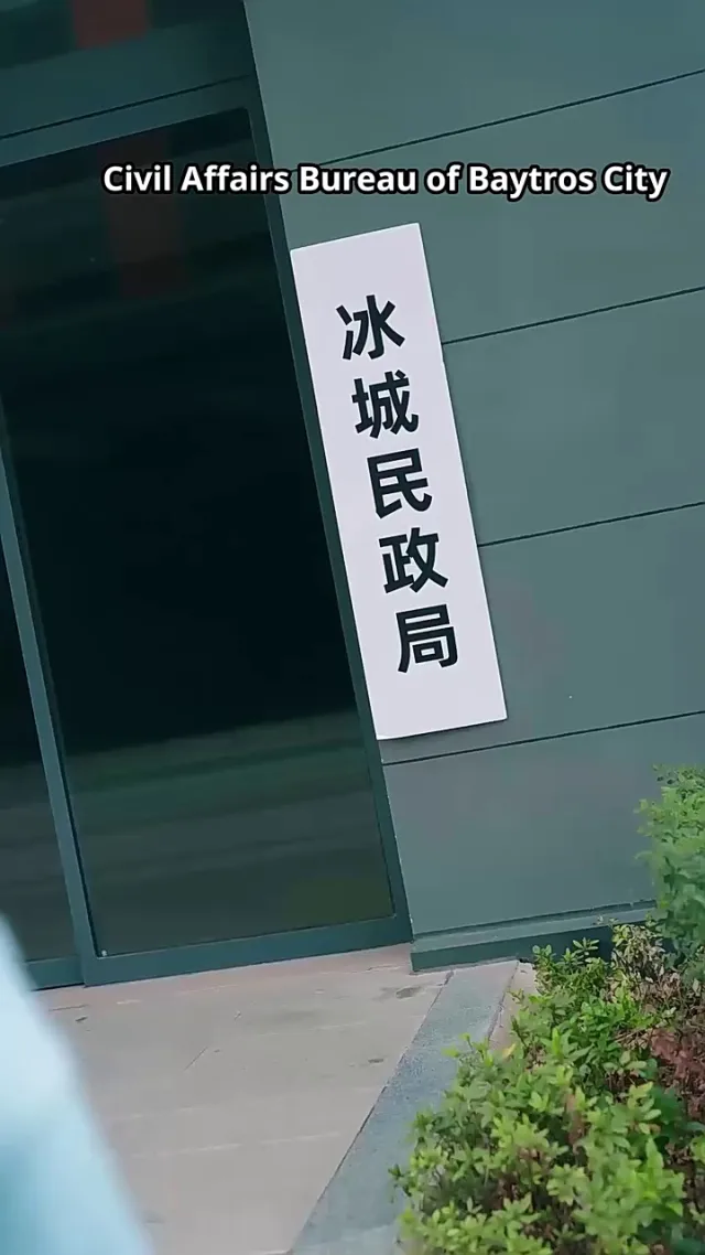 The Contract Wife poster