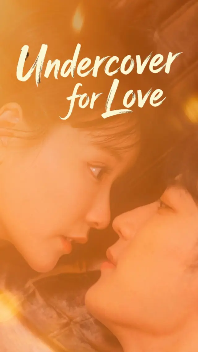 Undercover for Love poster