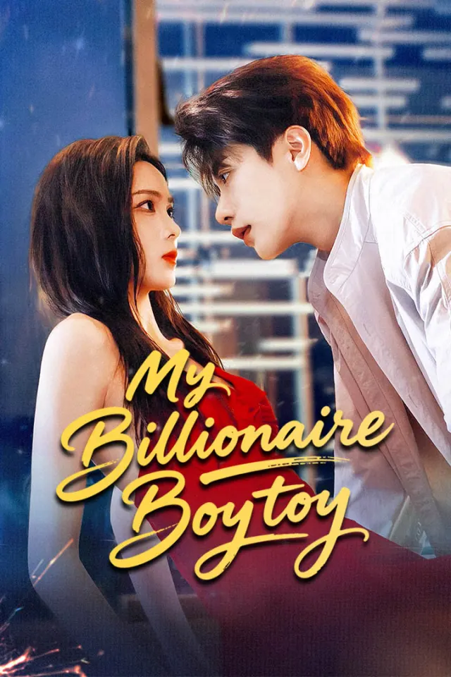 My Billionaire Boytoy poster