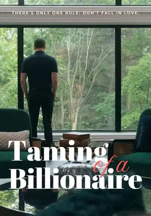 Taming of a Billionaire poster