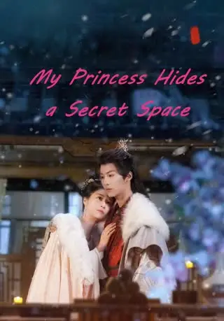 My Princess Hides a Secret Space cover