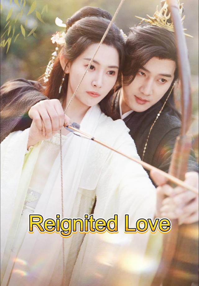 Reignited Love poster
