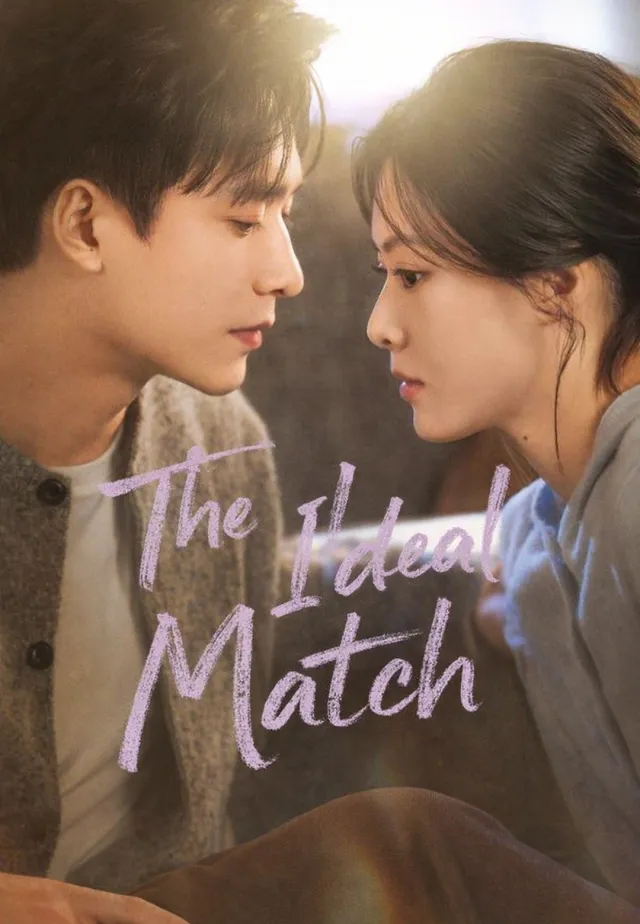 The Ideal Match cover