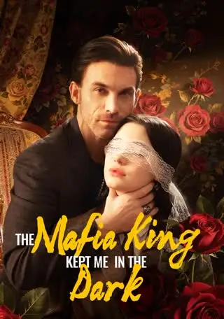 The Mafia King Kept Me in the Dark cover