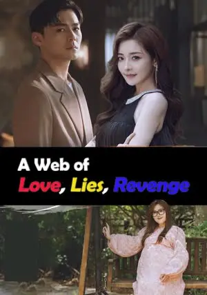 A Web of Love, Lies, Revenge poster