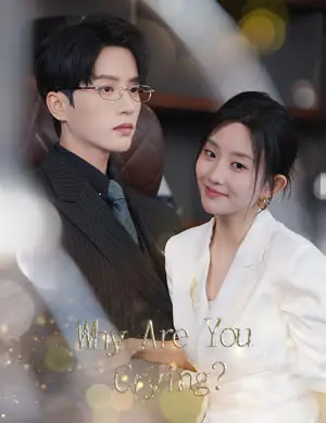 Why Are You Crying? poster