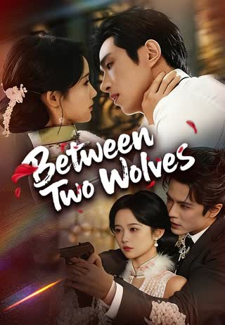 Between Two Wolves poster