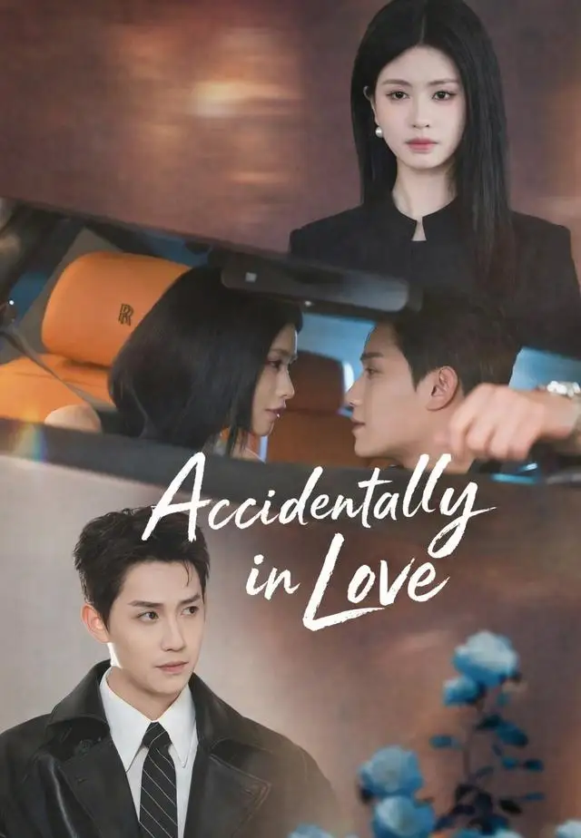 Accidentally in Love poster