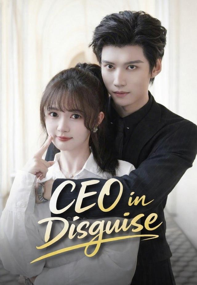 CEO in Disguise cover