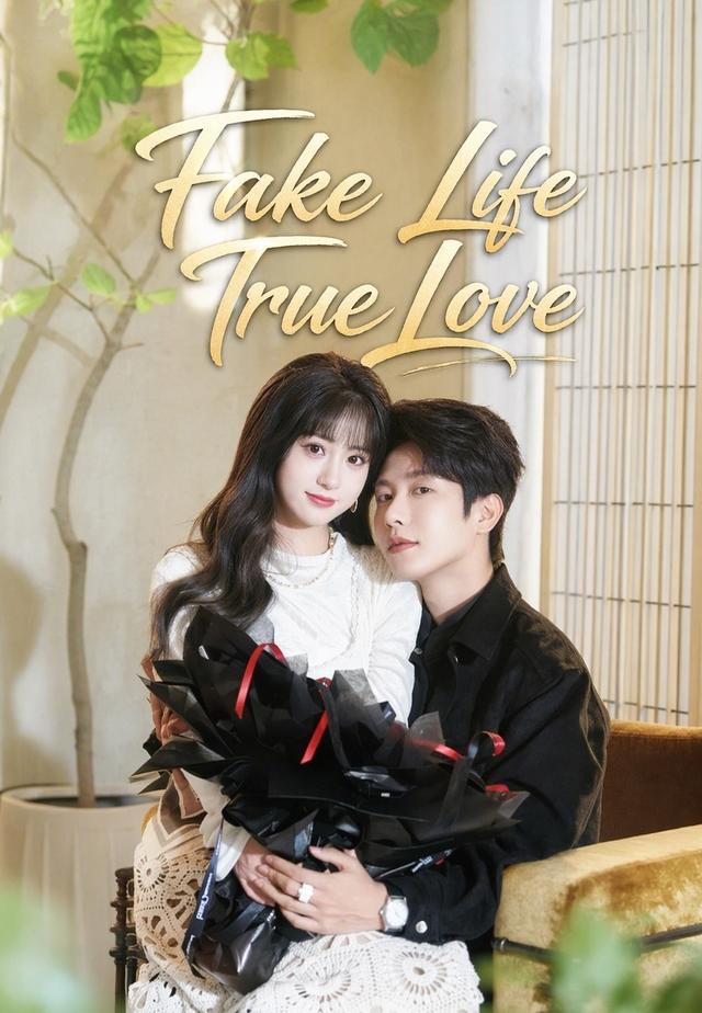 Fake Life True Love cover