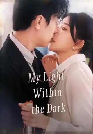 My Light Within the Dark cover