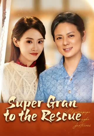 Super Gran to the Rescue poster