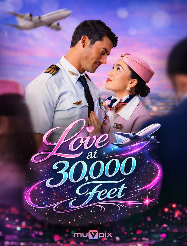 Love at 30,000 Feet poster
