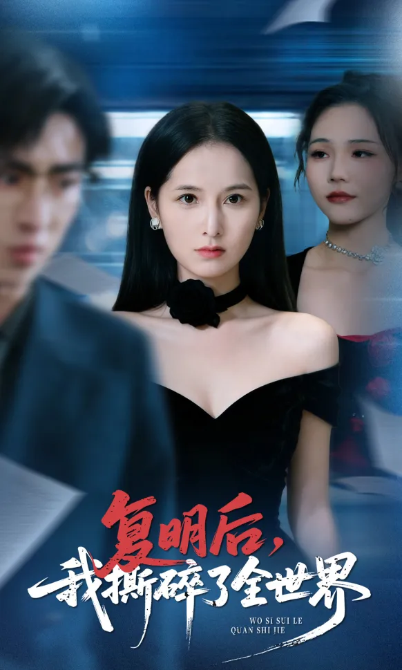 Blind Wife Sees EVERYTHING poster