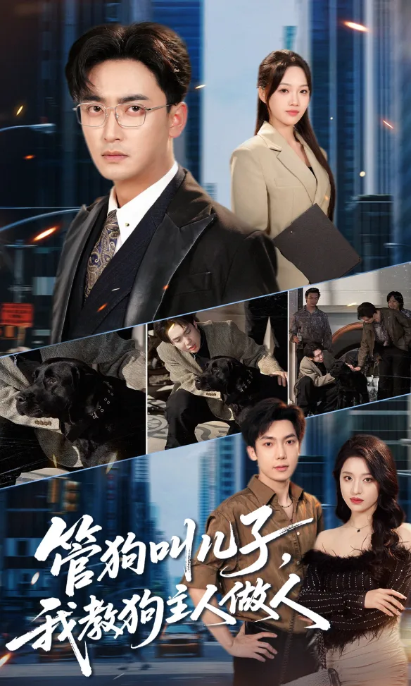 The Hidden Madam poster