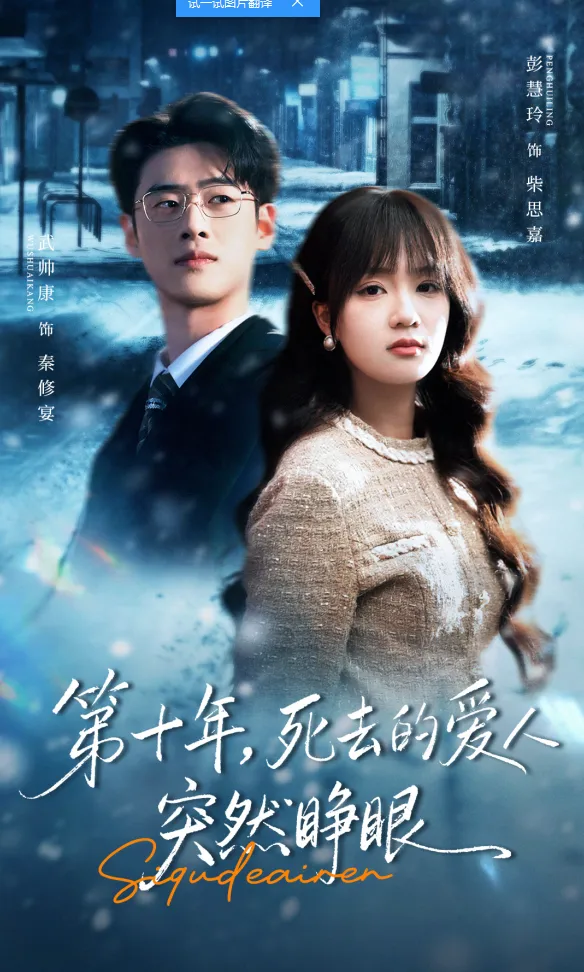 Return of the Silent Wife cover